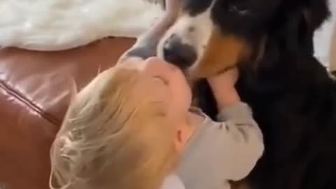 Cute boy love his dog and kiss him like a toy