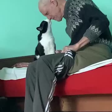 A Loving Cat with Grandpa😻