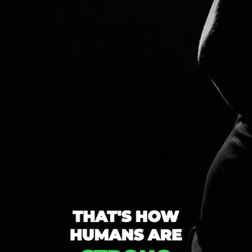 Unleash Your Inner Strength Embrace Failure Persevere and Achieve Success