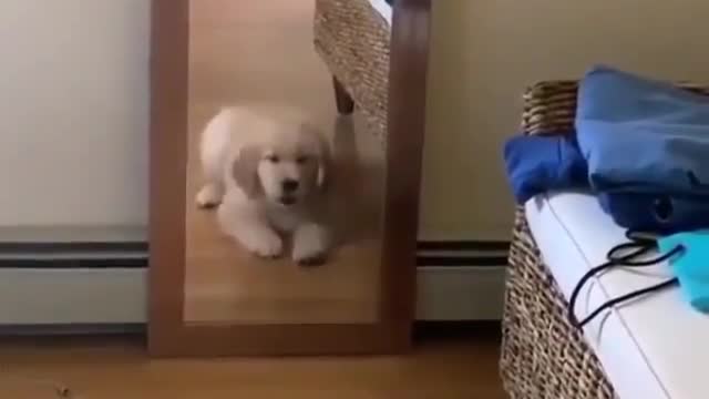 DO I KNOW YOU...