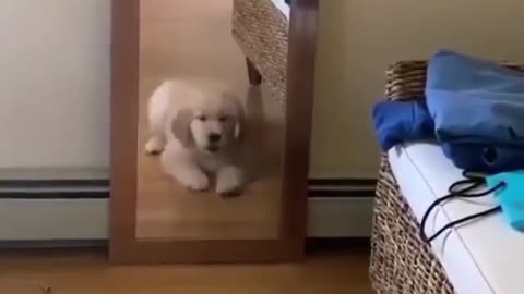 DO I KNOW YOU...