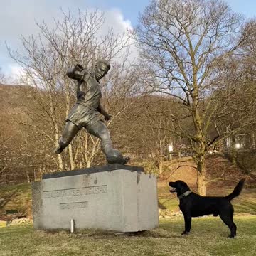 Dog Sees Statue of Man Kicking Soccer Ball, Waits to Chase After It