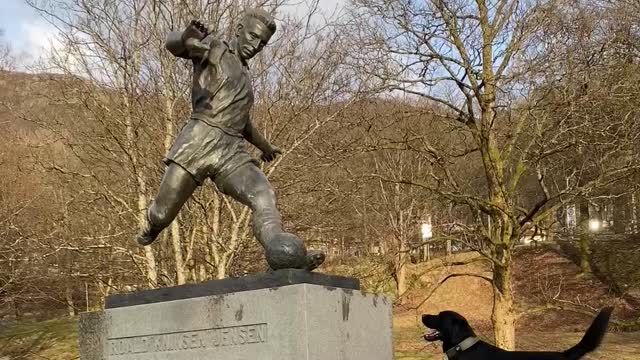 Dog Sees Statue of Man Kicking Soccer Ball, Waits to Chase After It