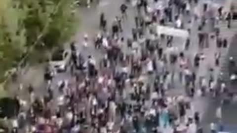 Hoy en Italia protesta contra el carnet de anucav