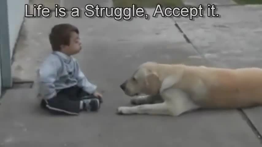Dog convincing child