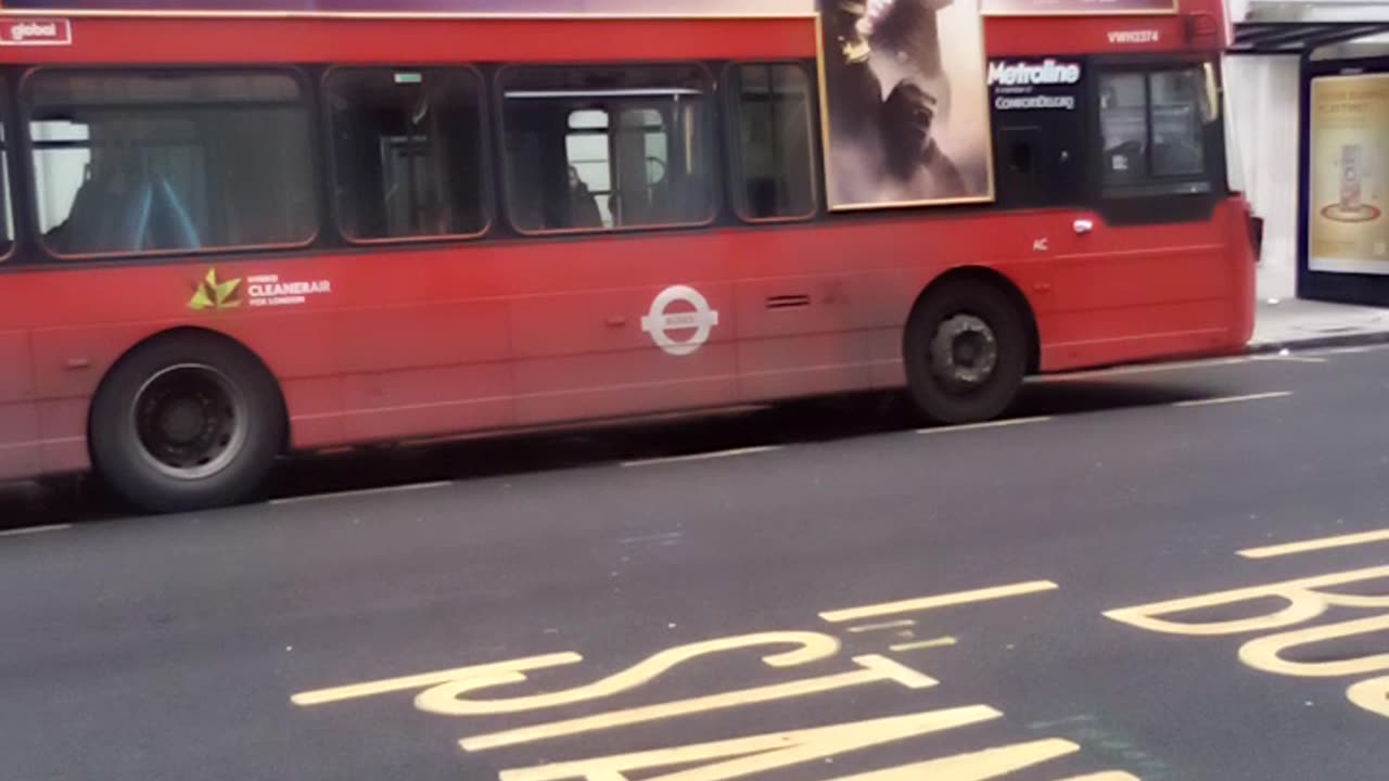 Godzilla versus King Kong on a Bus