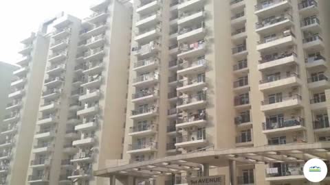 Gaur City 1st Avenue Home Greater Noida