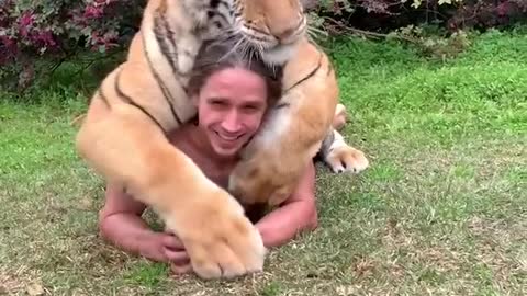 Tiger Boss Man