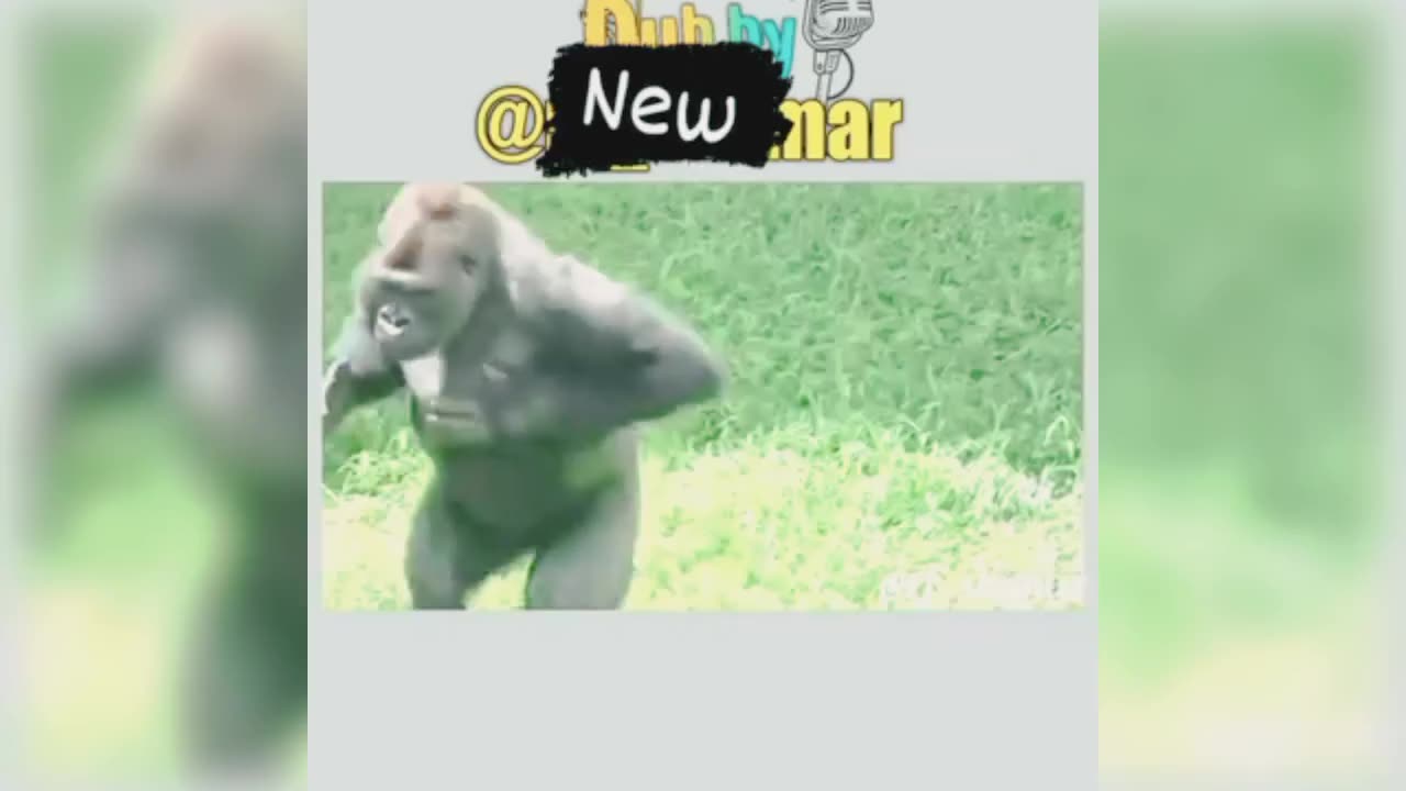 Budde ko sab yad hai 😝