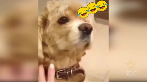 WTF IS HE DOING 🤣😂 l
