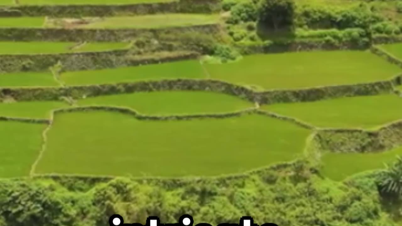 Banaue Rice Terraces : A Quick Glimpse #travel #adventure #explore