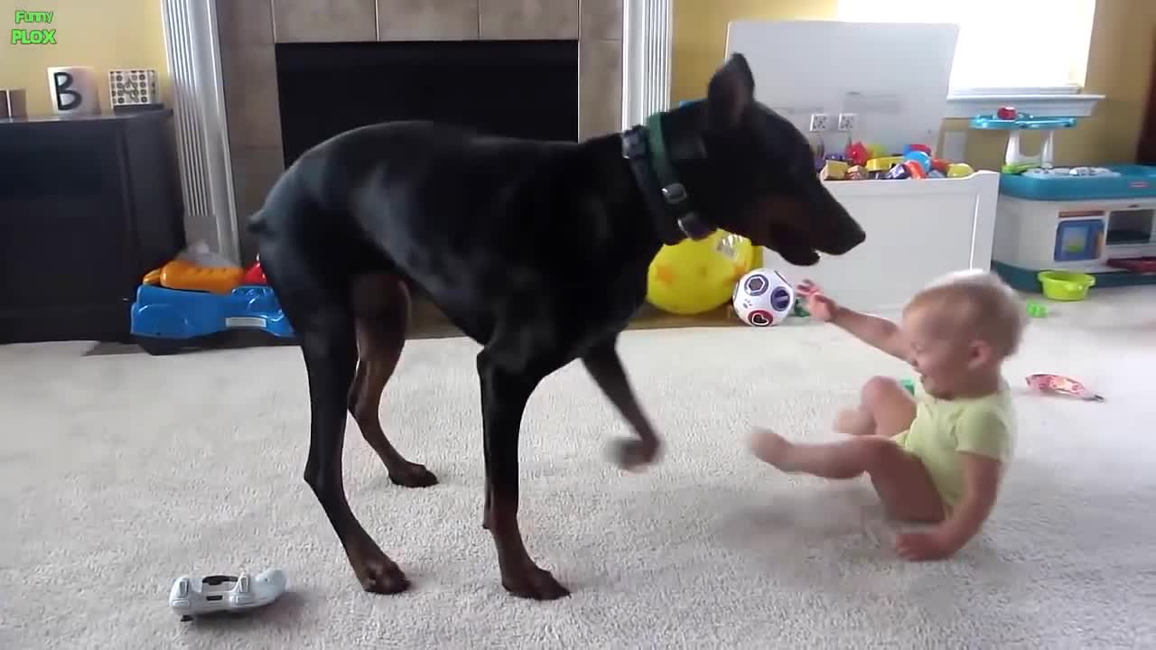 Best Funny Babies and Animals Compilation