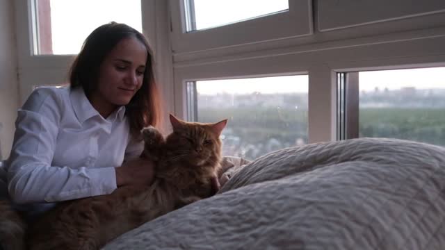 Young beautiful brunette woman lying on the bed by the window stroking a ginger Maine Coon cat