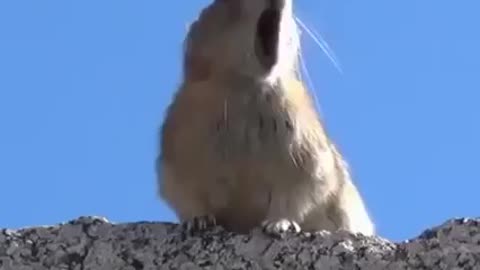Just for fun Whoever made this video deserves an Oscar.
