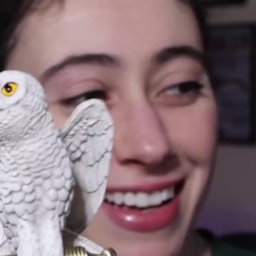 Adorable Little Hedwig : A Cute and Derpy Owl! #wizardingworld #noblecollection #harrypotter #hedwig