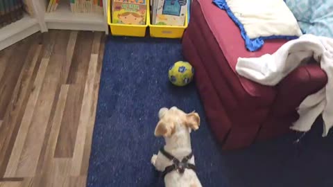 Winston plays Soccer like a pro, AGAIN!!!