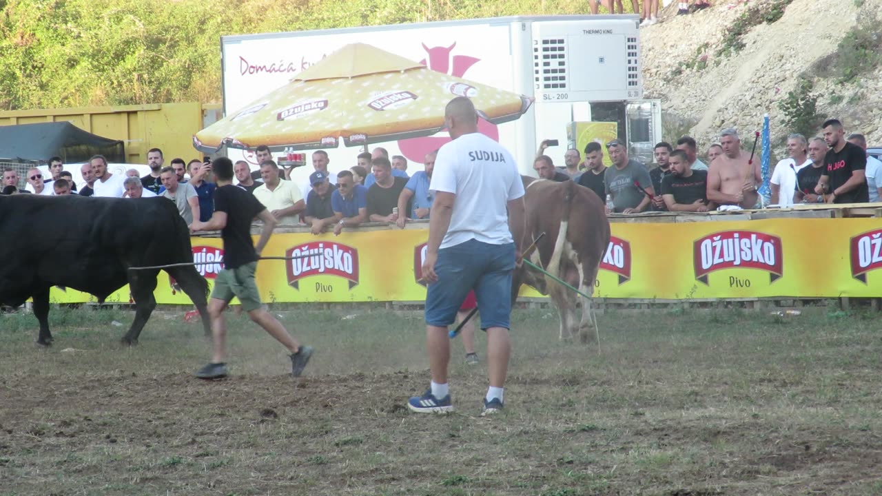 Peran od Ćane i Mrki od Zovkušića