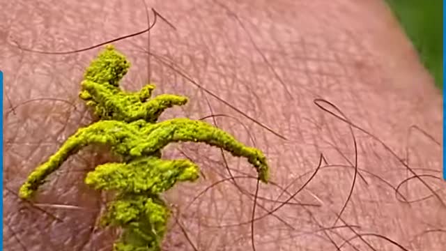 Let your eyes get feasted with these breathtakingly aesthetic nature moments! 😲😍