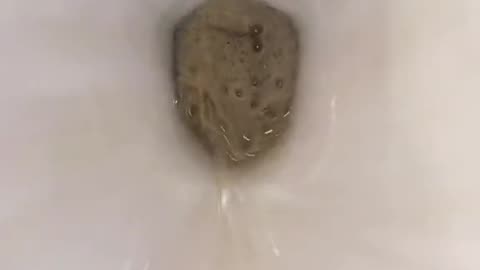 Oddly Satisfying Cleaning Toilet 🚽 #toilet #toiletclean #oddlysatisfying #satisfying #asmr #fyp