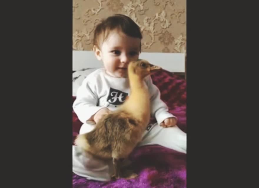 The child plays with the duck and laughs happily 🥰🤤