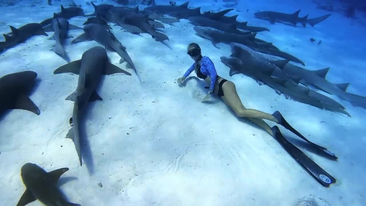 GoPro_ Nose to Nose with Sharks _ Shark Week 2022