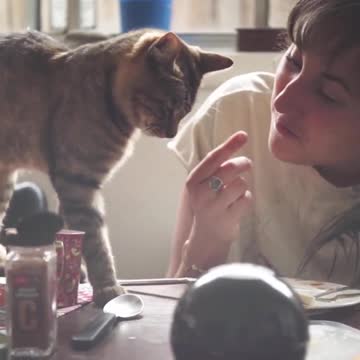 Smart animal, funny animals, smart dog, funny dog🐶 The Smart Dog 🐕 Talented Dog 😎 Well Trained