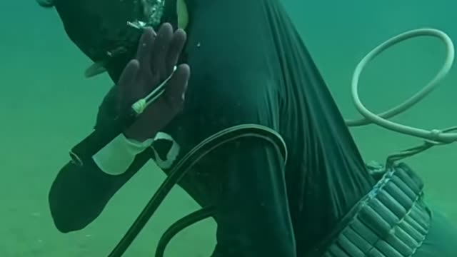những người thợ lặn giỏi và chuyên nghiệp 👍