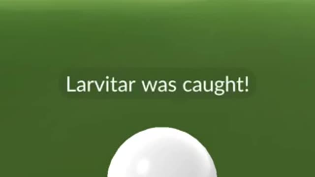 Pokémon GO-Shadow Larvitar