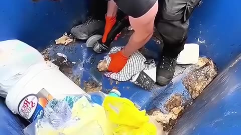 Man rescued a kitten stuck in a dumpster ❤️