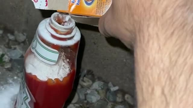 Dangerous Experiment