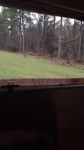 Last day of deer season