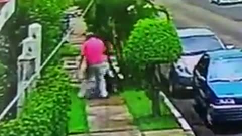 PASEAR MASCOTAS AUMENTA EL RIESGO DE "INFARTOS" 🤦‍♂️🤦‍♂️🤦‍♂️