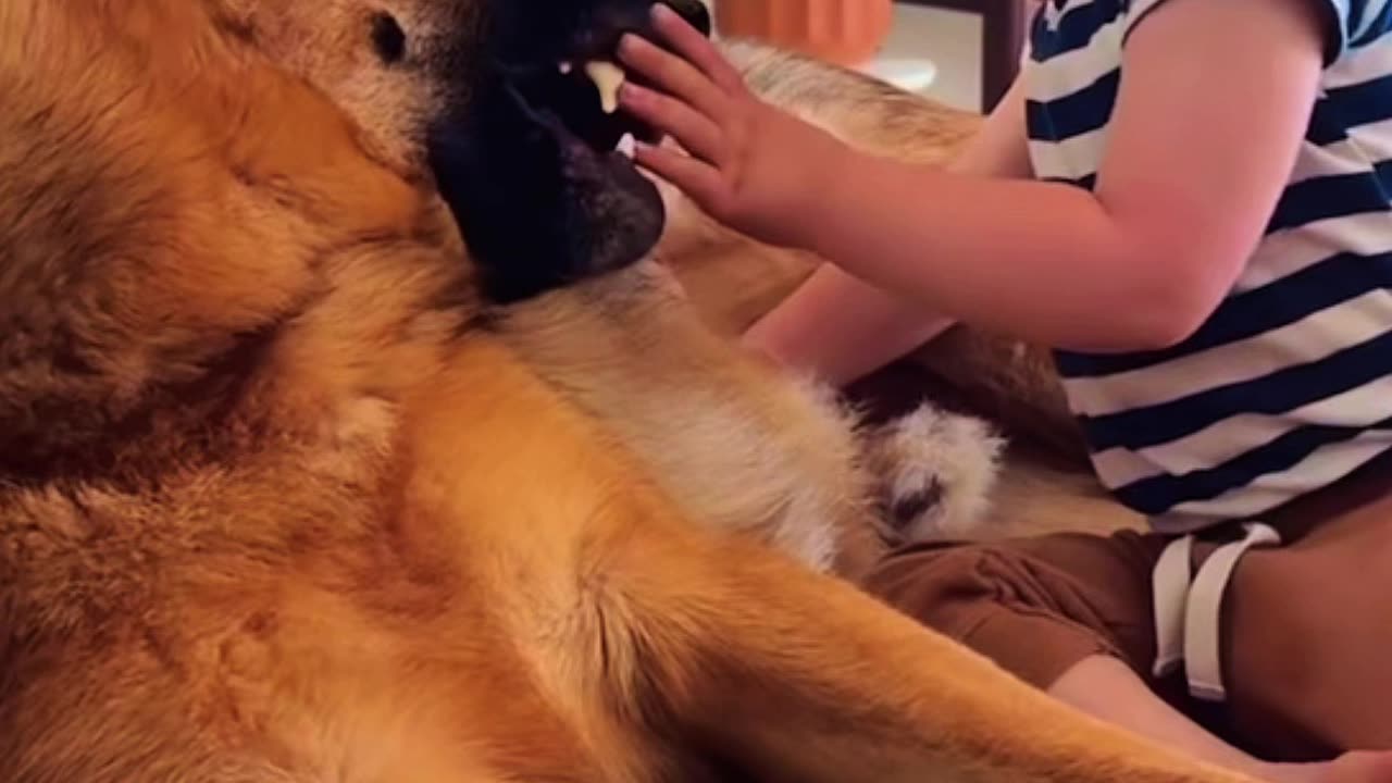 they are the bestest friends🤩