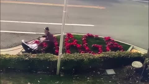 Woman destroys neighbors MAGA garden with her stroller