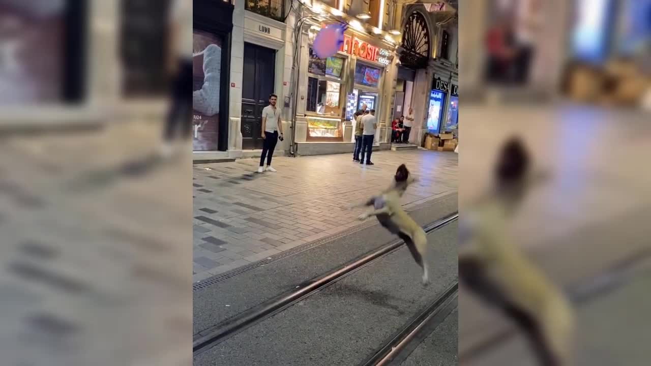 Dog playing with a balloon 🎈