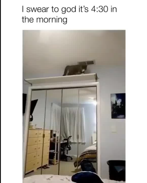 Don't Try This At Home