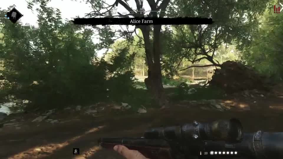 Hunt: Showdown Pt.6-Idiot Shootout