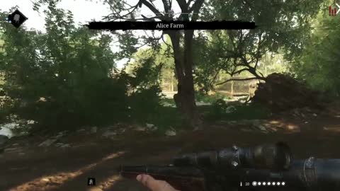 Hunt: Showdown Pt.6-Idiot Shootout