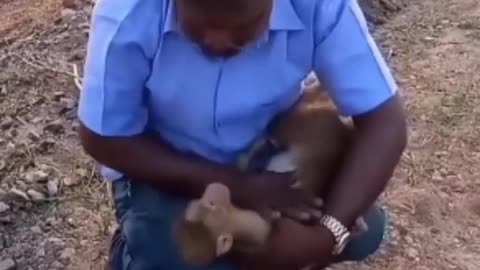 He help a monkey