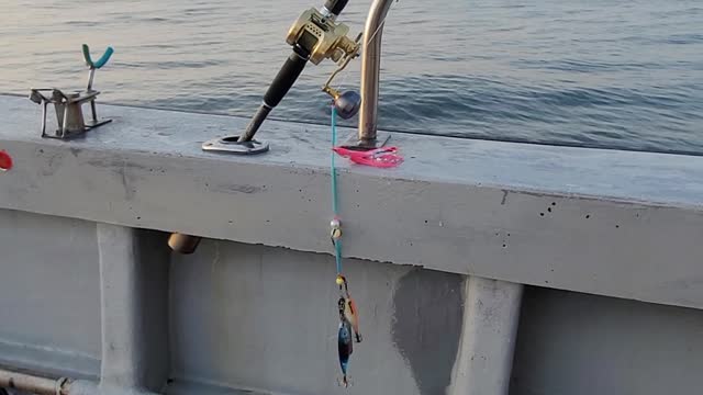 Octopus fishing gear