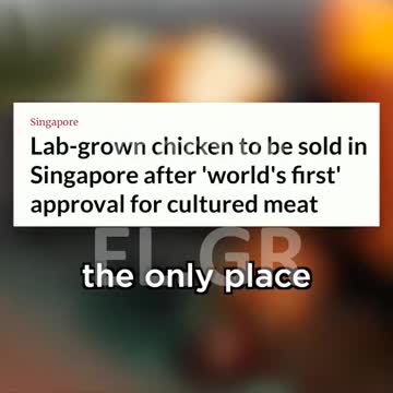 ΚΡΕΑΣ ΕΡΓΑΣΤΗΡΙΟΥ ΣΤΟ ΠΙΑΤΟ ΣΑΣ.