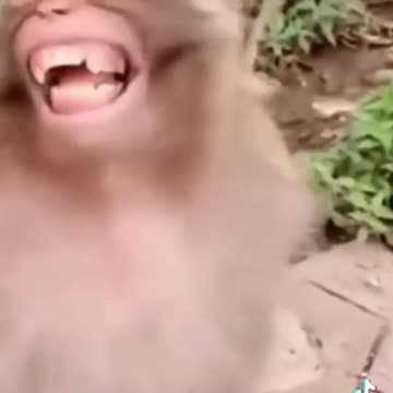 👍FAN Moments funny video👍