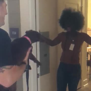 Woman’s car is stolen with her pup inside – has sweetest reaction when police return her dog