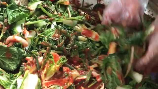 korea kimchi
