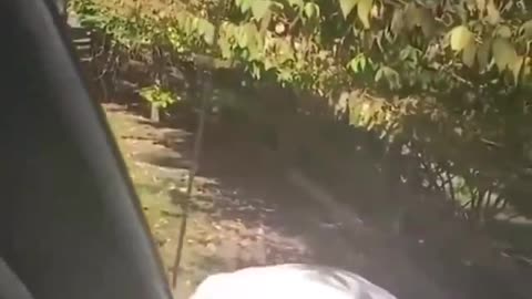 Instant Karma MaskHole Revenge