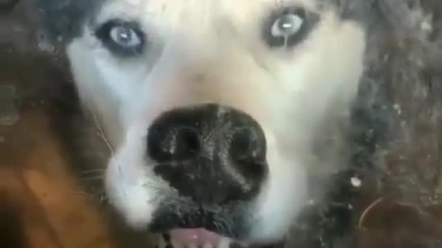 What the hell happened