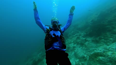 Maldives dive