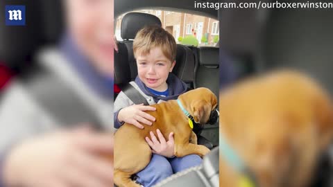 Boy seen sobbing after picking up his new puppy in heartwarming vid