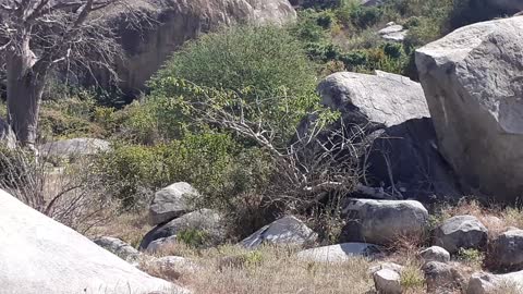 Stones Hill in Dodoma - Tanzania