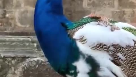 He knew he looked cool